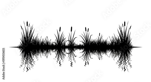 Black silhouette of reeds and cattails with reflections on water, isolated on white background, vector illustration.
