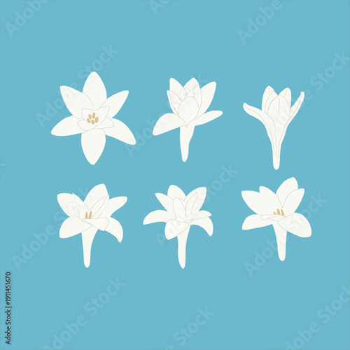 A collection of six tuberose flower icons in a minimalist   illustration style.