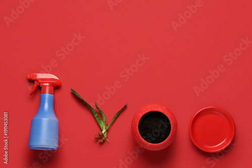 Ceramic flower pot with soi...