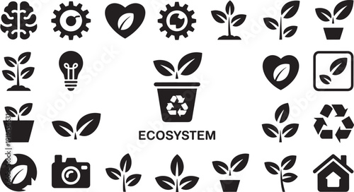 Ecology and nature environment leaf plant