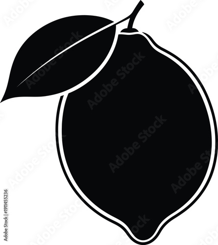 pear fruit vector illustration