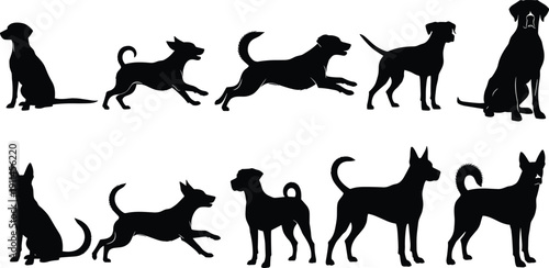 Manga style female eyes vector illustration, anime girl expressive look with long eyelashes, comic book art, beautiful woman gaze, black white