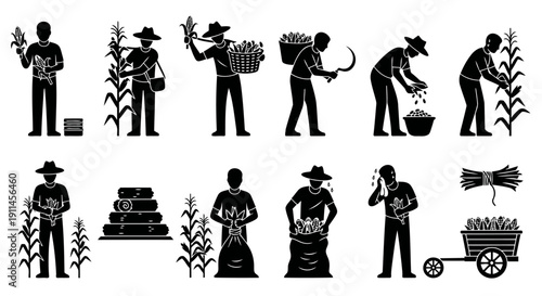 Minimalist black silhouette icon set featuring 12 different farmers harvesting corn in one structured frame. Each icon presents a unique agricultural activity including picking corn from stalk