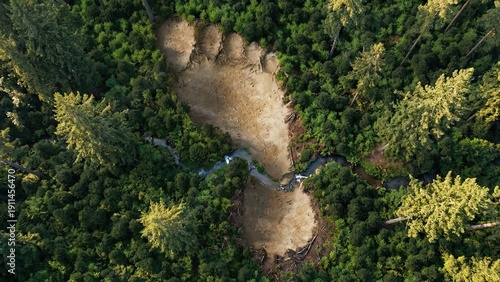 Footprint in Forest: An artistic impression of a giant footprint carved into a lush forest. It evokes a sense of wonder and the impact of our actions on the natural world.