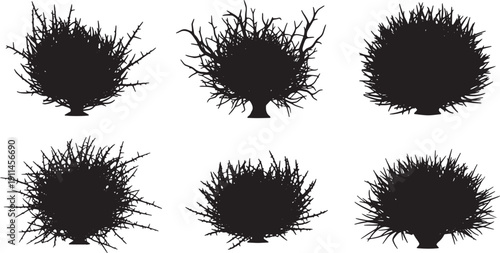 Black Solid Thorny Scrub Tree Silhouettes Set of Six on White Background