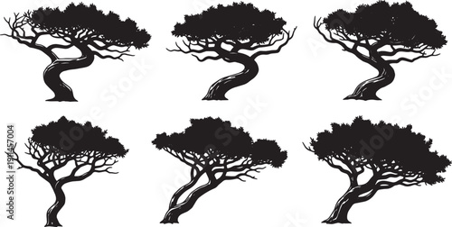 Black Solid Twisted Juniper Tree Silhouettes Set of Six on White Background