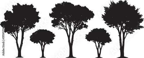 Black Solid Twin Trunk Tree Silhouettes Set of Six on White Background