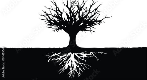 A perfect blend of light, land, and life painted by the planet itself