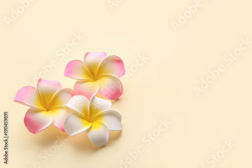 Beautiful plumeria flowers ...