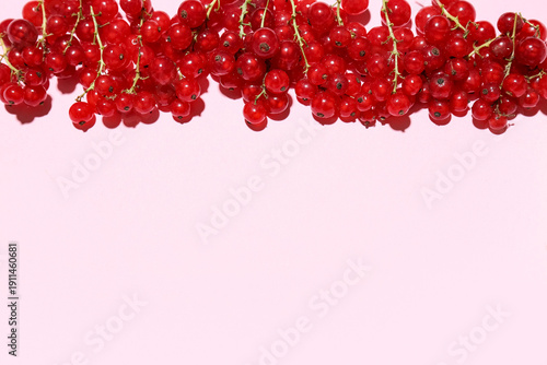 Fresh red currants on pink ...