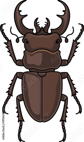 Dark brown stag beetle animal vector on white background.