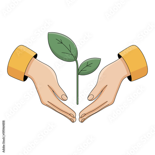 Hands protecting a green plant with two leaves