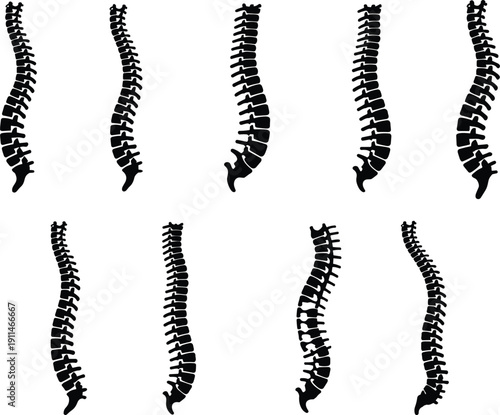 Human spinal column and skeleton silhouette set with edgy skull character wearing trucker hat and sunglasses for medical and lifestyle design