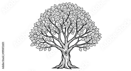 Tree nature in vector with white background
