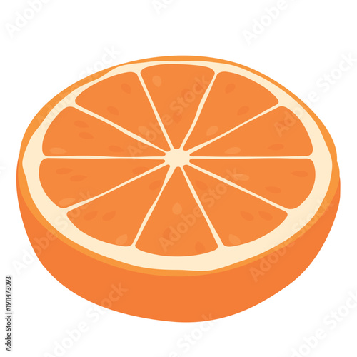 半分にカットされたみかん/オレンジの断面のベクターイラスト