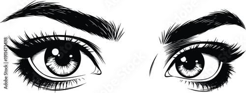 Detailed Vector Illustration of Beautiful Female Eyes with Long Eyelashes and Thick Eyebrows, Artistic Hand Drawn Eyes for Beauty Makeup Salon Fashion Branding,