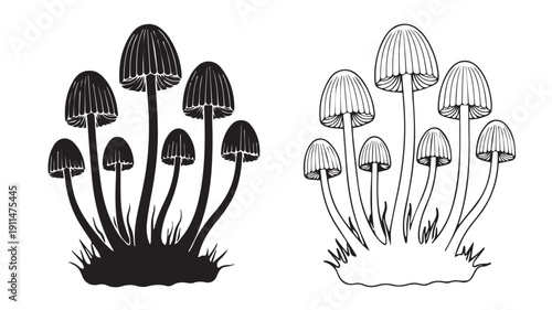 Vector Illustration of Fungi Cluster in Black and White Outline and Silhouette Styles