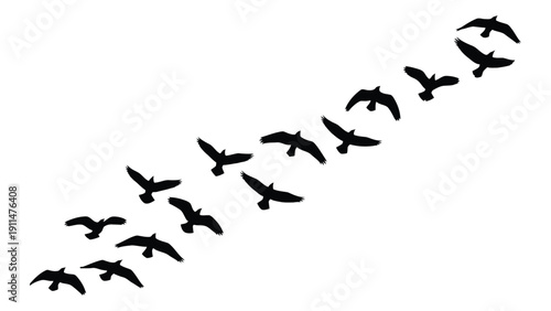 A flock of birds flying in a diagonal formation against a white background Vector