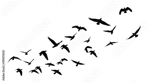 A flock of birds flying in a v-formation against a white background Vector