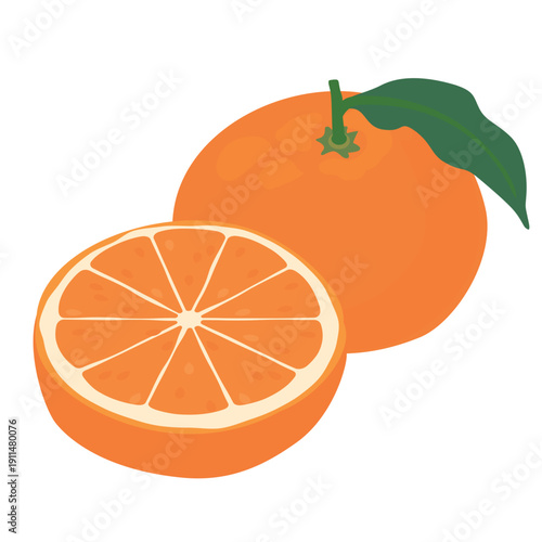 みかんまたはオレンジのベクターイラストセット