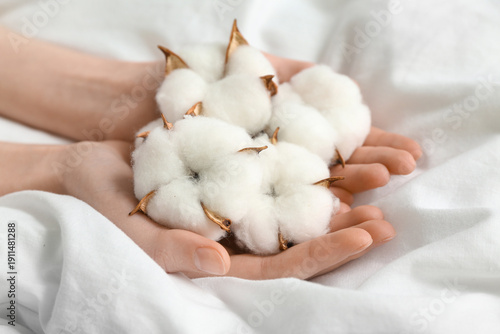 Woman holding cotton flower...