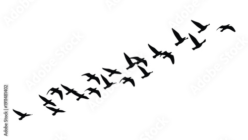 A flock of birds flying in a diagonal formation against a white background Vector