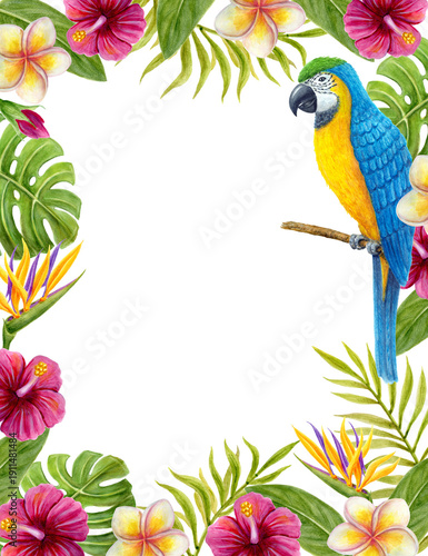 Tropical frame with Parrot and hibiscus flowers, frangipani, greenery of monstera leaf and palm fronds. Exotic floral composition, watercolor painting of leaves and blue-yellow macaw.