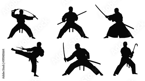 Silhouettes of martial artists demonstrating various techniques and poses Vector