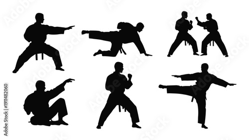 Silhouettes of martial artists performing various techniques and stances Vector