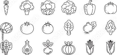 Outline icon collection of various fresh vegetables on transparent background