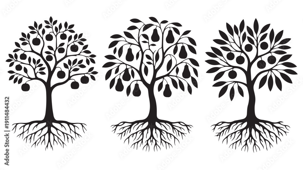 Obraz premium Three stylized trees with roots and fruits illustration
