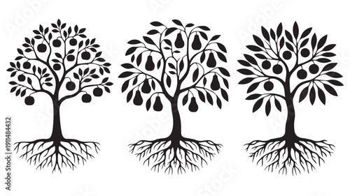 Three stylized trees with roots and fruits illustration