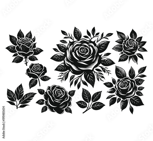 Elegant black rose flower illustrations set vintage engraving style