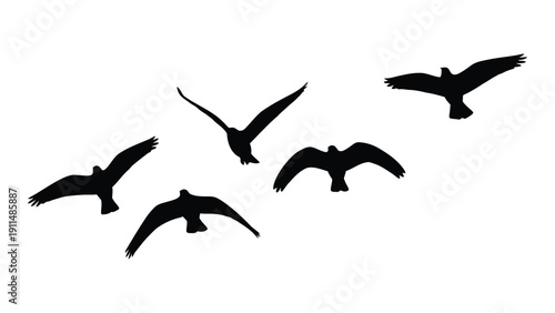 A group of birds flying in a v-formation against a white background Vector