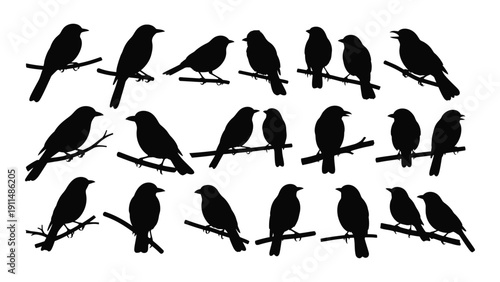 A flock of black birds perched on thin branches in a symmetrical pattern Vector