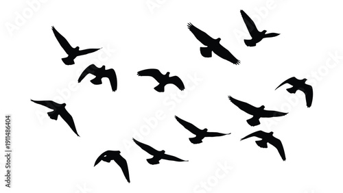A flock of birds flying in a circular formation against a white background Vector