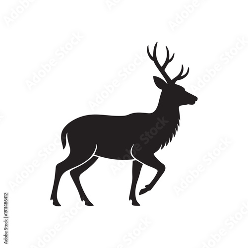 deer vector illustration