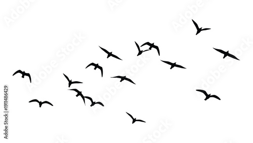 A flock of birds in flight against a white background Vector