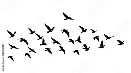 A large flock of birds flying in a dynamic and coordinated formation. Vector