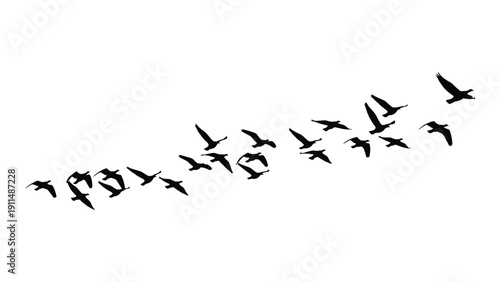 A flock of birds flying in a v-shaped formation against a white background Vector