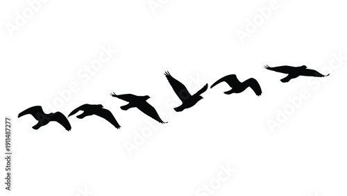 A flock of birds flying in a diagonal formation against a white background Vector