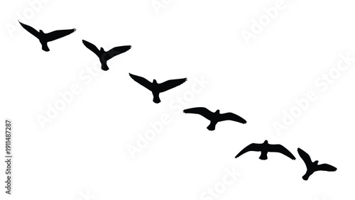 A flock of birds in flight, captured in a dynamic and artistic silhouette. Vector