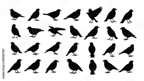 A flock of black birds standing on the ground in a random pattern. Vector