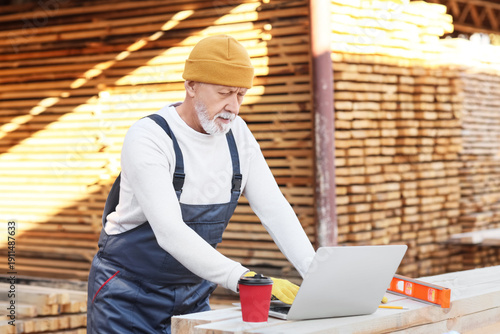 Mature male carpenter with ...