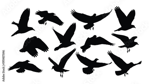 A flock of birds in flight against a white background. Vector