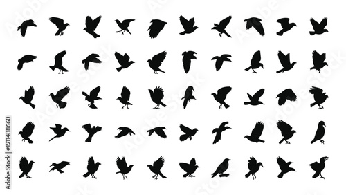 A collection of various bird silhouettes arranged in a grid pattern. Vector