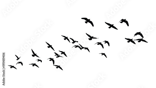A flock of birds flying in a v-shaped formation against a white background Vector