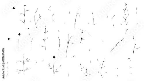 Monochromatic Organic Pattern of Hand-Drawn Minimalist Botanical Shapes and Lines