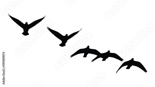A flock of birds flying in a diagonal formation against a white background Vector