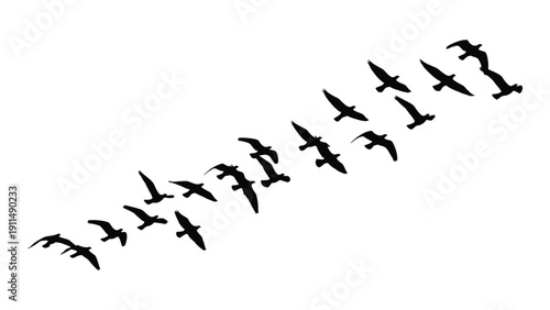 A flock of birds in a v-formation flying across a clear sky. Vector